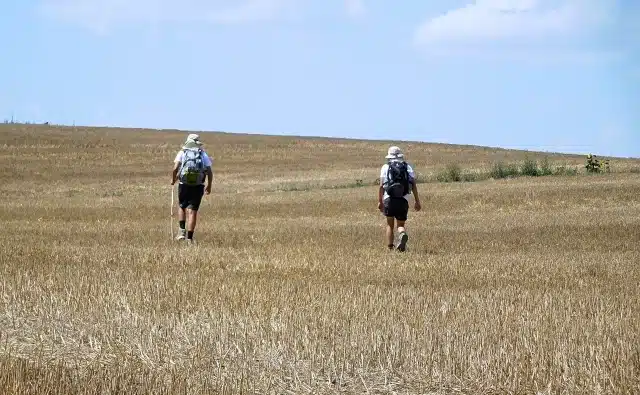 Jakobsweg mit Kindern wandern