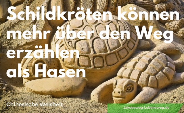 Jakobsweg Zitate Schildkröte