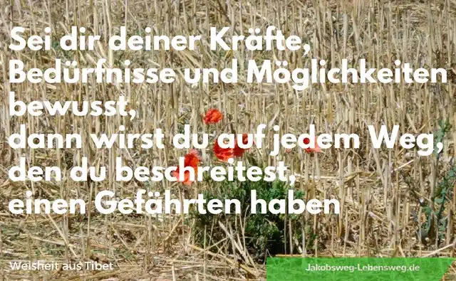 Jakobsweg Zitate: Sei dir deiner