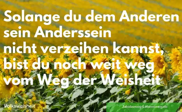 Jakobsweg Zitate: So lange du