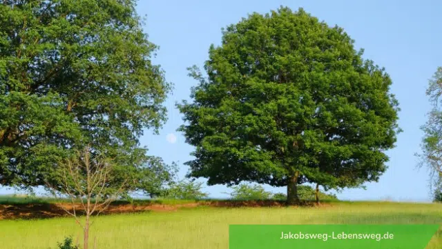 Lebensweg: 5 Tipps, wie du ihn auf dem Camino finden kannst 2 Lebensweg Lebenstraum