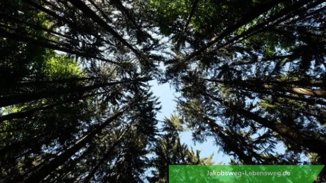 Lebensweg: 5 Tipps, wie du ihn auf dem Camino finden kannst 3 Lebensweg finden in der Natur