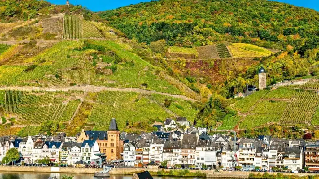 Mosel-Camino: In 8 Tagen zum Grabmal des Heiligen Mattias 5 Mosel-Camino3
