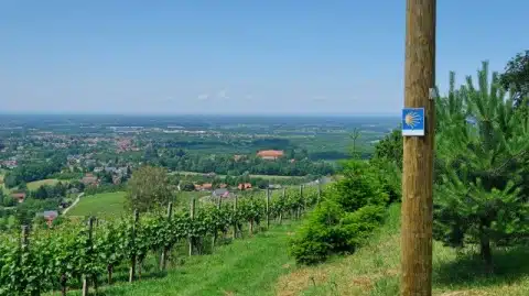 Badischer Jakobsweg: 3 alternative Pilgerwegstrecken 2 Badischer Jakobsweg Rheinebene