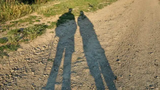 schmerzhafte Wahrheit Klette