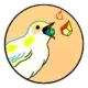 Das nächste Heiliges Jahr in Santiago de Compostela ist in 2027 21 xacobeo 21 ana-galvan-sticker-1