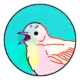 Das nächste Heiliges Jahr in Santiago de Compostela ist in 2027 19 xacobeo 21 ana-galvan-sticker-3