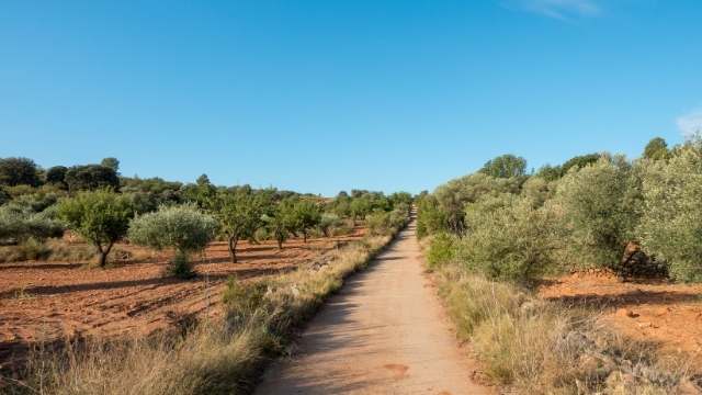 Camino Mozarabe Südspanien