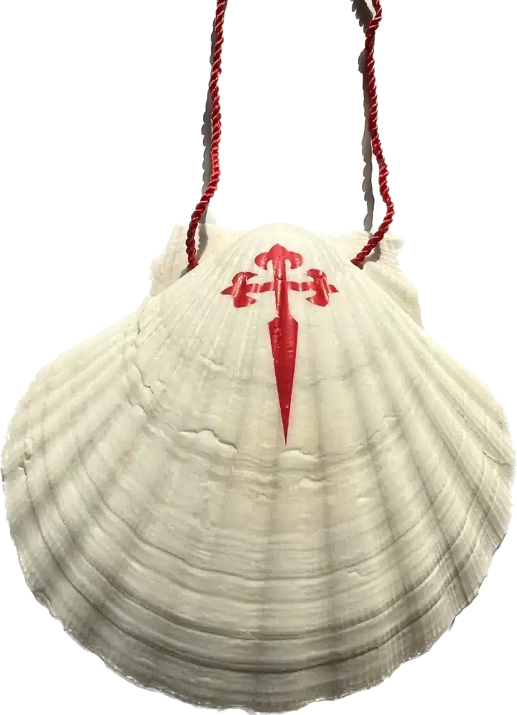 Pilgermuschel