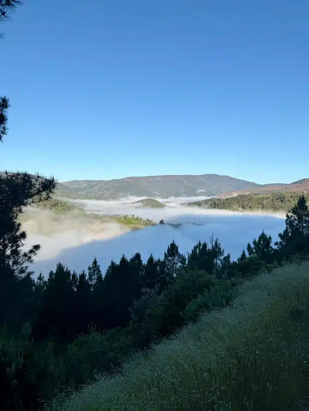 Camino Invierno Nebel im Tal