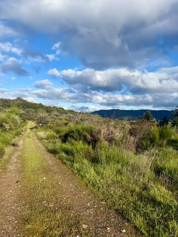 Camino Invierno Victoria Weg