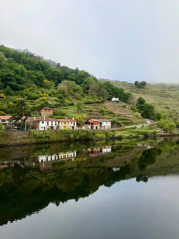 Camino invierno Rio SIl Wasserspiegelung