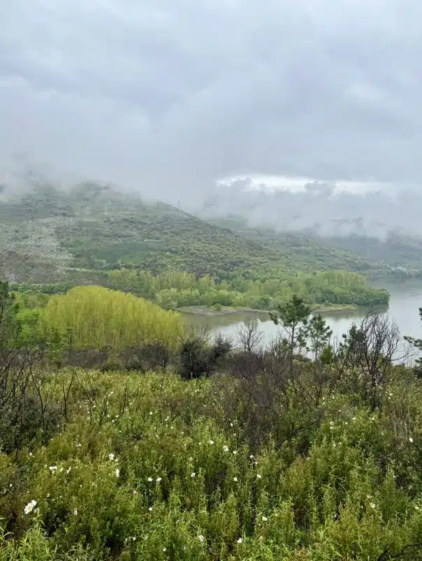 Camino invierno Rio Sil