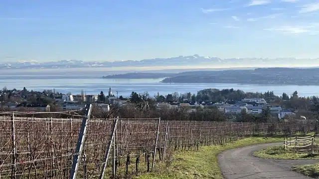 Peter Kirchmann im Jakobsweg Podcast 4 Überlingen Bodensee