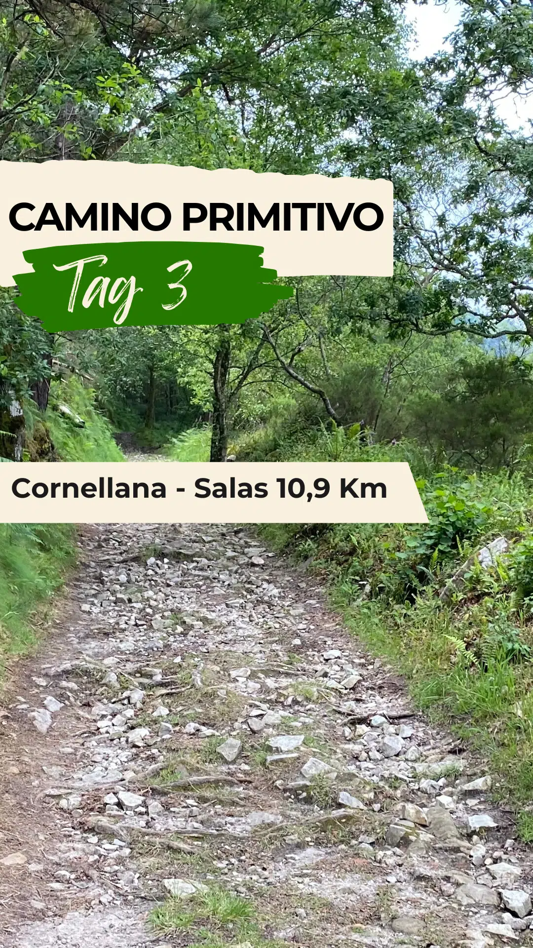 Camino Primitivo Tag 3 Camino Primitivo Tag 3