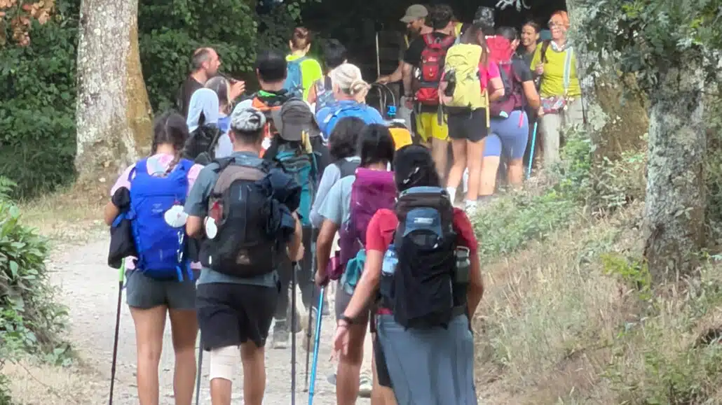 Camino Primitivo Erfahrungsbericht 5 Pilgerautobahn