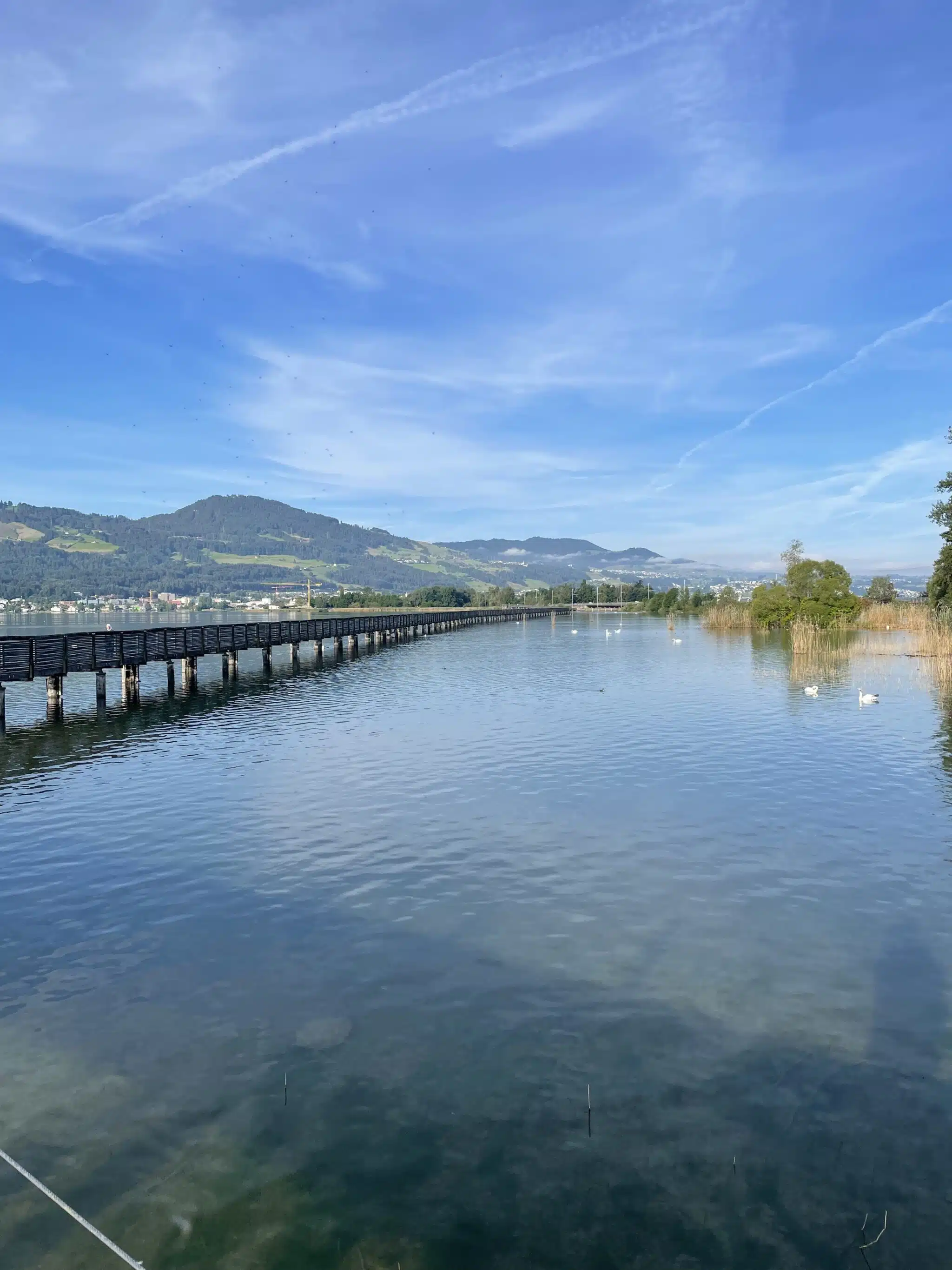 Beat Gassmann Via Jakobi Schweiz