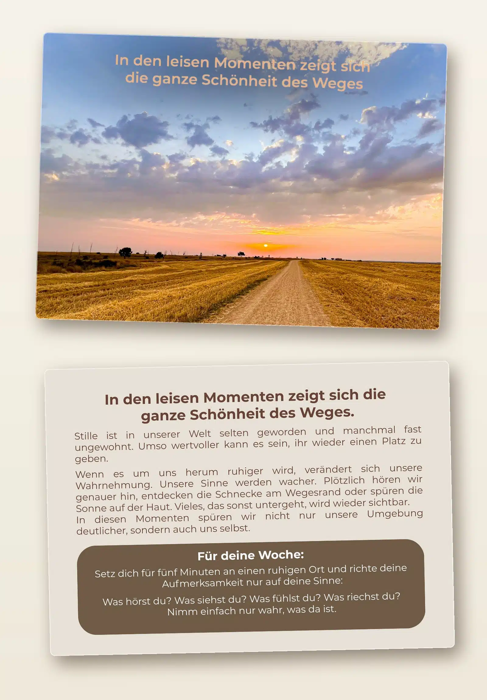 Vorder- und Rückseite einer Karte aus dem Kartenset 52 Jakobsweg-Impulse: Feldweg auf der Meseta im Abendlicht