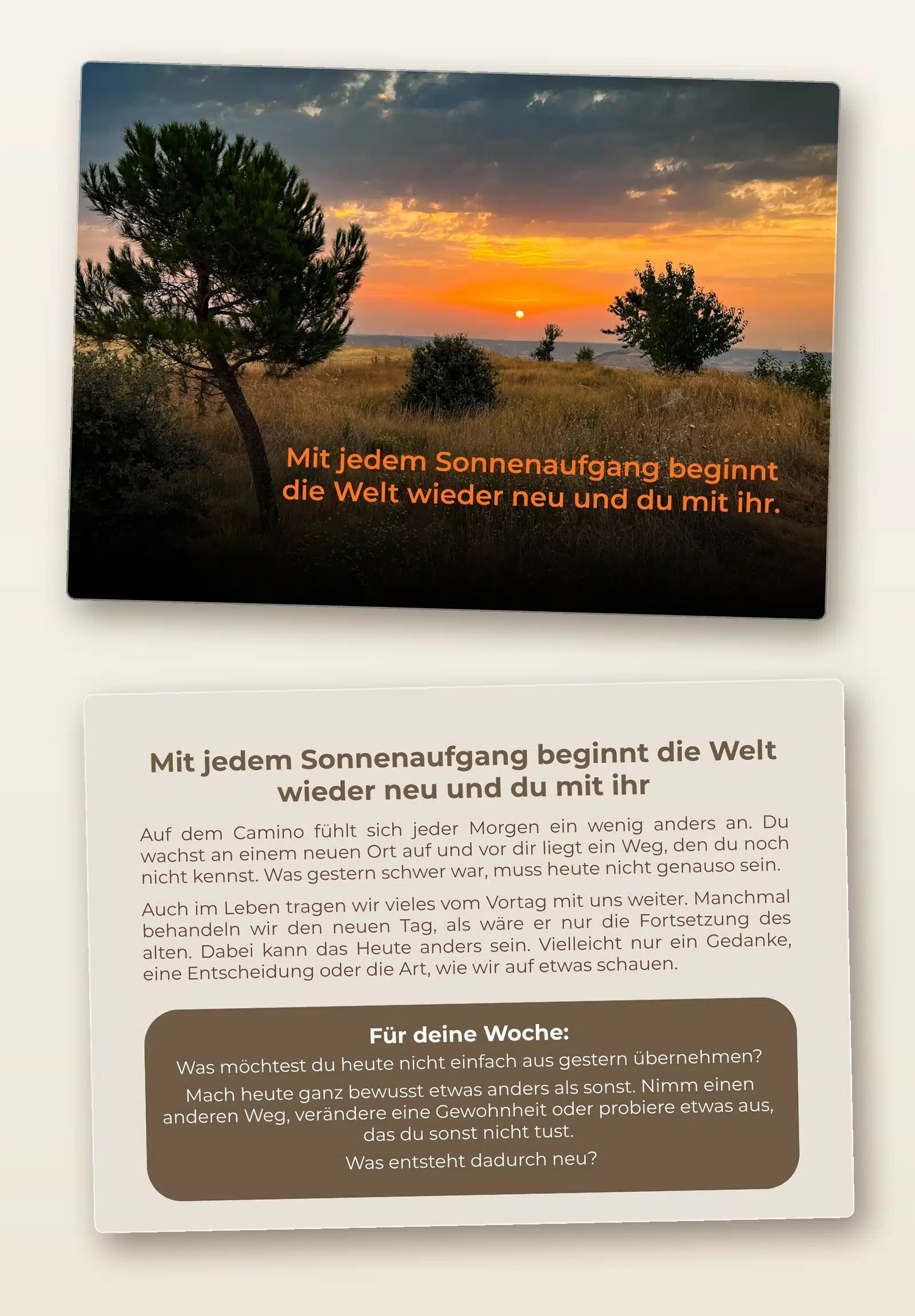 Vorder- und Rückseite einer Karte aus dem Kartenset 52 Jakobsweg-Impulse: Sonnenaufgang auf der Meseta